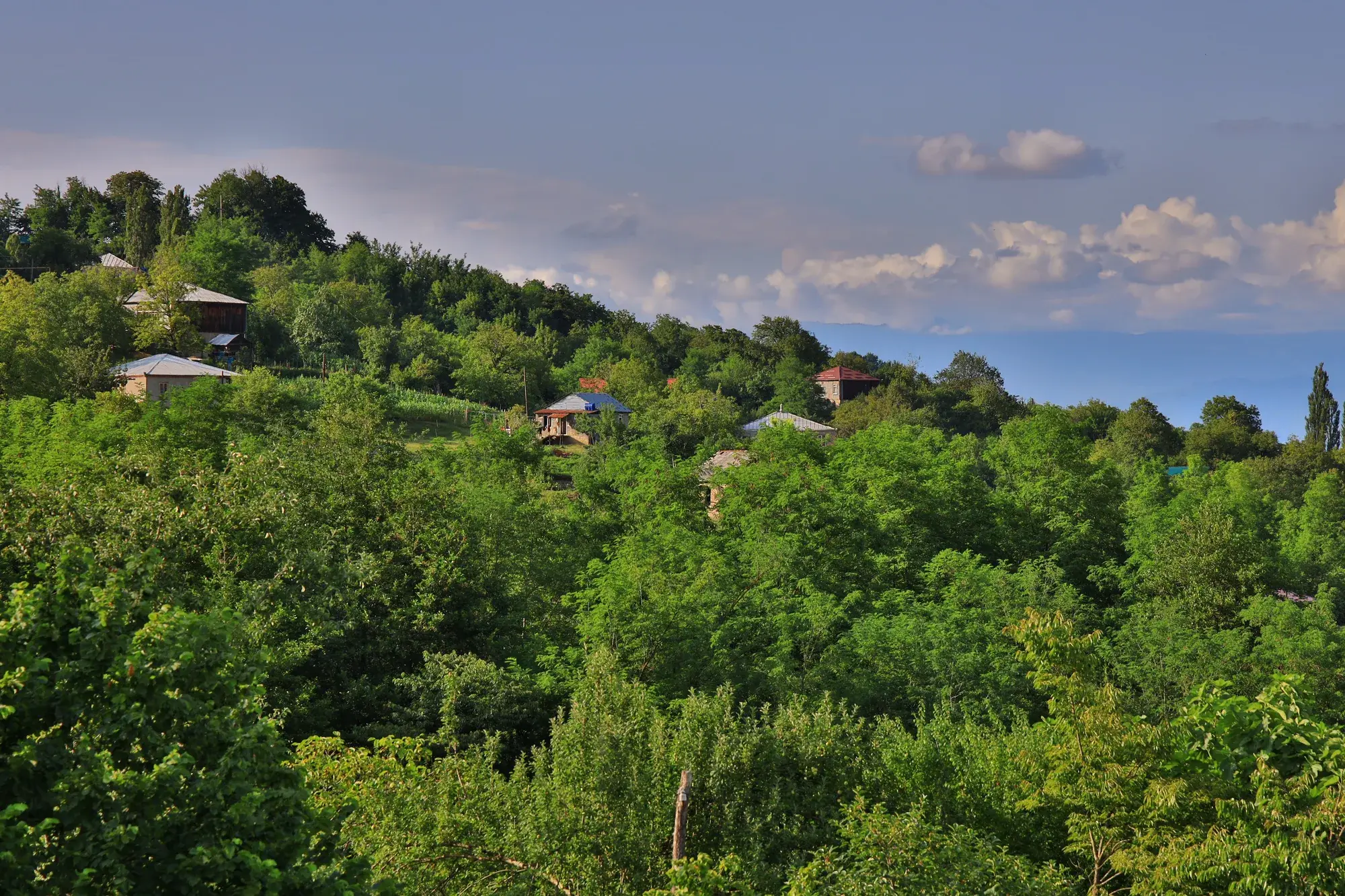 Villa Tabakini — იმერეთის ბუნება და ხეობის ხედი