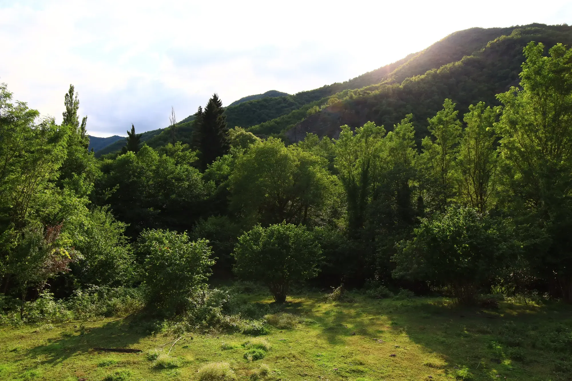 Villa Tabakini — იმერეთის ბუნება და ხეობის ხედი